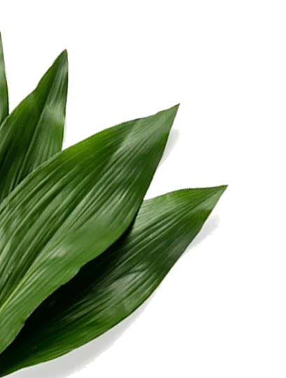 Humly Raumbuchungssysteme ppm-stuttgart / Berlin